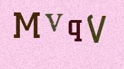 Visual Confirmation Security Code