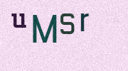 Visual Confirmation Security Code