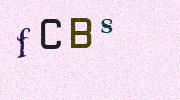 Visual Confirmation Security Code