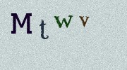 Visual Confirmation Security Code