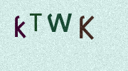 Visual Confirmation Security Code