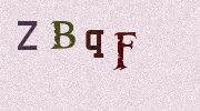 Visual Confirmation Security Code
