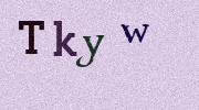 Visual Confirmation Security Code
